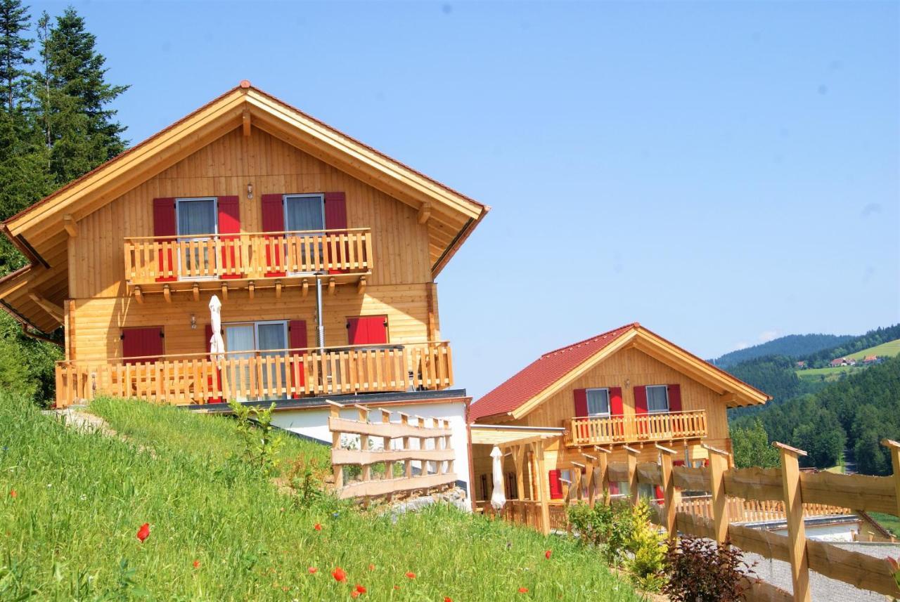 Bergchalet Am Waldrand - Pool, Sauna & Kamin Pöllauberg エクステリア 写真