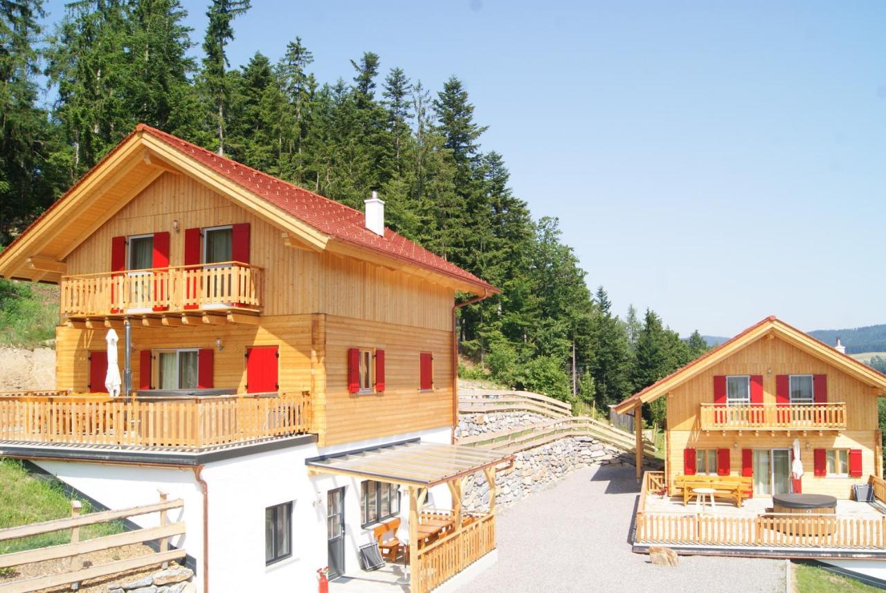Bergchalet Am Waldrand - Pool, Sauna & Kamin Pöllauberg エクステリア 写真