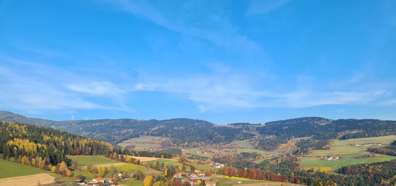 Bergchalet Am Waldrand - Pool, Sauna & Kamin Pöllauberg エクステリア 写真